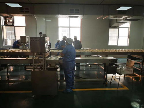 陜西五大供應鏈行業標桿企業創始人齊聚，分享數字化轉型之路與西安網站建設經驗